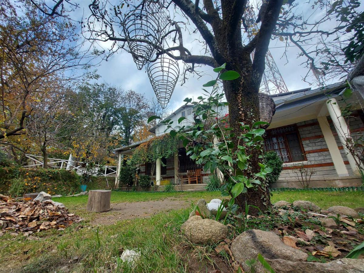 Mars Monkey Hostel & Cafe Manāli Exteriér fotografie